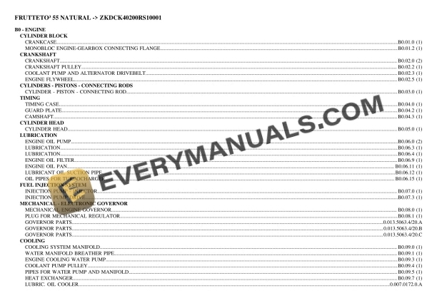 Same FRUTTETO III 55 NATURAL (ZKDCK40200RS10001) Tractor Parts Catalog PDF