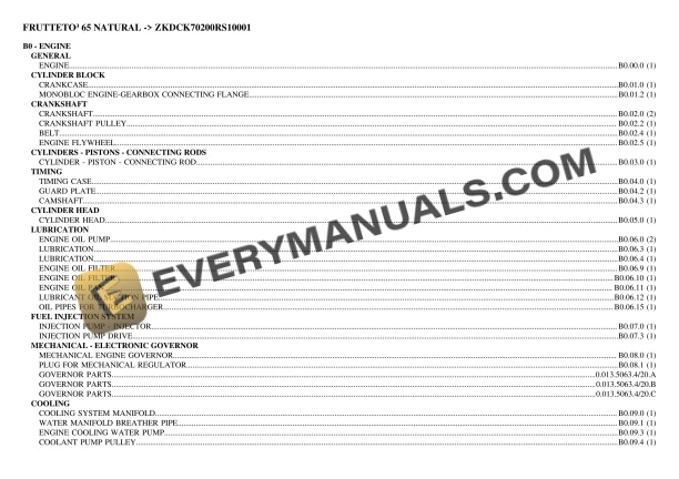 Same FRUTTETO III 65 NATURAL (ZKDCK70200RS10001) Tractor Parts Catalog PDF