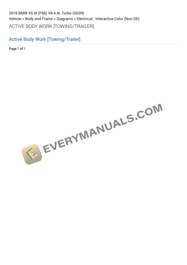 BMW X6 M (F86) 2018 Electrical Diagrams V8-4.4L Turbo (S63R)