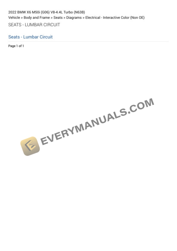 BMW X6 M50i (G06) 2022 Electrical Diagrams V8-4.4L Turbo (N63B) 6 BMW X6 M50i (G06) 2022 Electrical Diagrams V8-4.4L Turbo (N63B) - Image 4