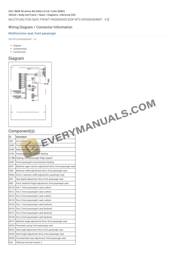 BMW X6 xDrive 40i (G06) 2021 Electrical Diagrams L6-3.0L Turbo (B58C) 7 BMW X6 xDrive 40i (G06) 2021 Electrical Diagrams L6-3.0L Turbo (B58C) - Image 5
