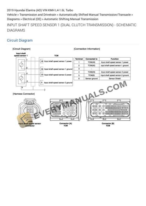 Hyundai Elantra (AD) VIN KMH 2019 Electrical Diagrams L4-1.6L Turbo 6 Hyundai Elantra (AD) VIN KMH 2019 Electrical Diagrams L4-1.6L Turbo - Image 4