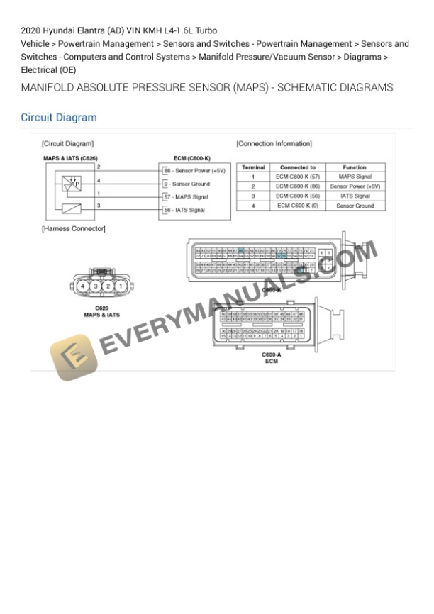 Hyundai Elantra (AD) VIN KMH 2020 Electrical Diagrams L4-1.6L Turbo 7 Hyundai Elantra (AD) VIN KMH 2020 Electrical Diagrams L4-1.6L Turbo - Image 5