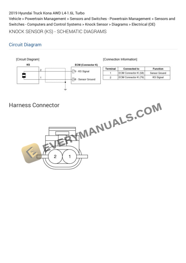 Hyundai Truck Kona AWD 2019 Electrical Diagrams L4-1.6L Turbo 6 Hyundai Truck Kona AWD 2019 Electrical Diagrams L4-1.6L Turbo - Image 4