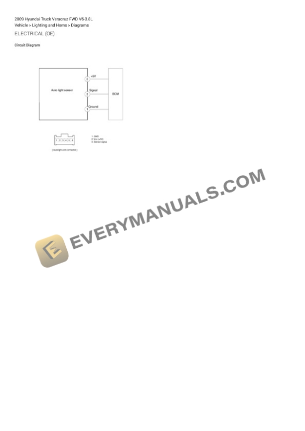 Hyundai Truck Veracruz FWD 2009 Electrical Diagrams V6-3.8L 5 Hyundai Truck Veracruz FWD 2009 Electrical Diagrams V6-3.8L - Image 3