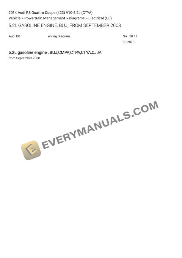 Audi R8 Quattro Coupe (423) 2014 Electrical Diagrams V10-5.2L (CTYA) 1 audi r8 quattro coupe 423 2014 electrical diagrams v10 52l ctya 1