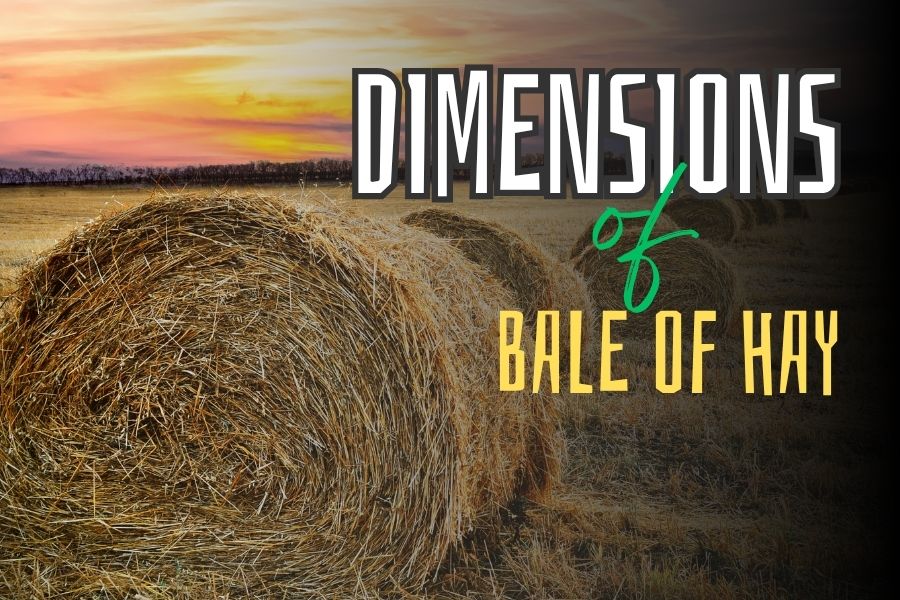 Dimensions of bale of hay