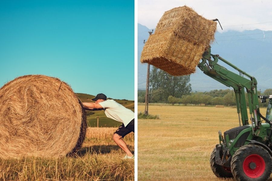 Dimensions of Bale of Hay: Small vs. Large Bales Compared 4 Large round & square hay bales