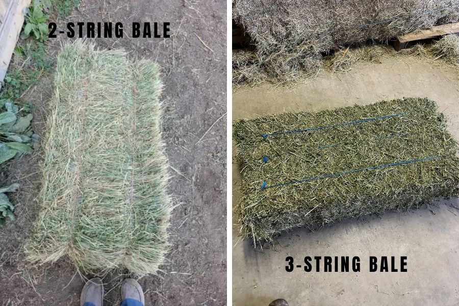 Dimensions of Bale of Hay: Small vs. Large Bales Compared 3 Small 2 & 3-string hay bales