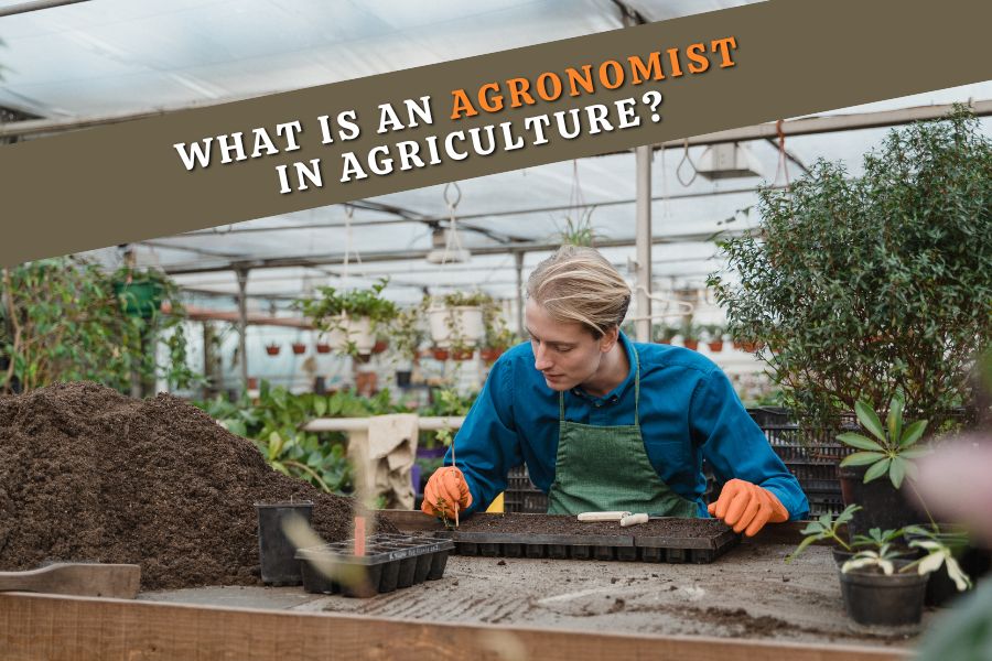 What is an agronomist in agriculture